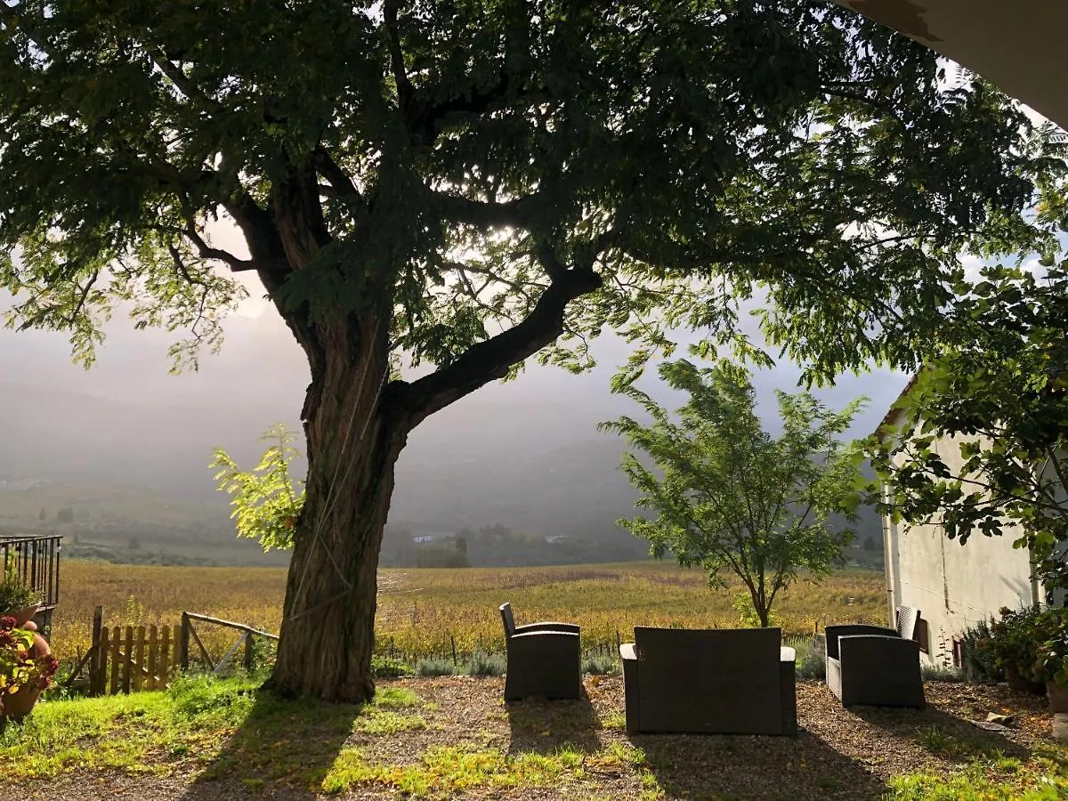 Azienda Agricola Il Poggiolino Villa Pelago 0*,  Italy