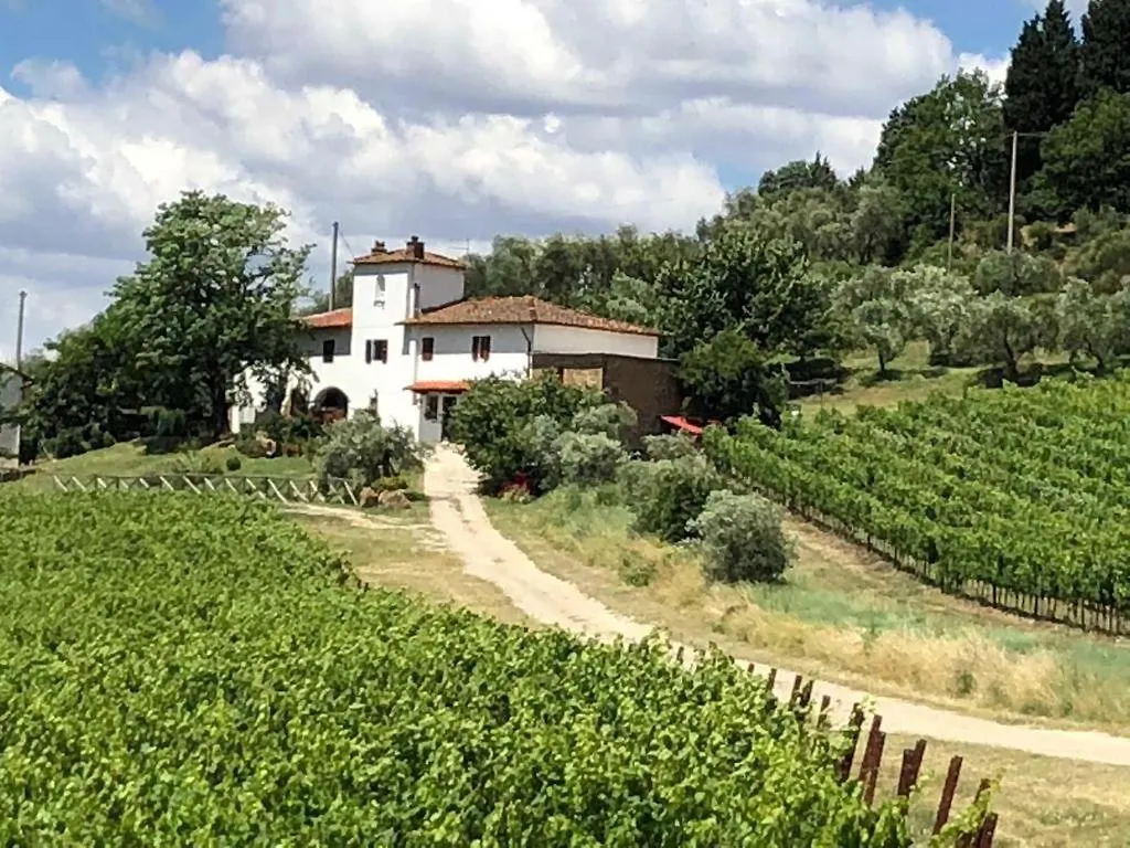 Azienda Agricola Il Poggiolino Villa Pelago 0*,