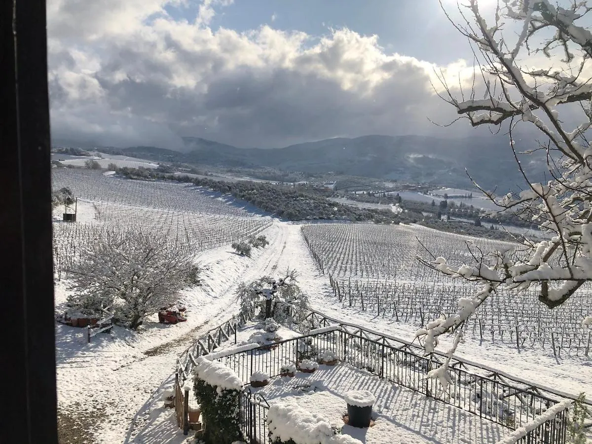 Azienda Agricola Il Poggiolino Villa Pelago