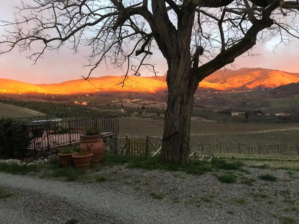 Azienda Agricola Il Poggiolino Villa Pelago