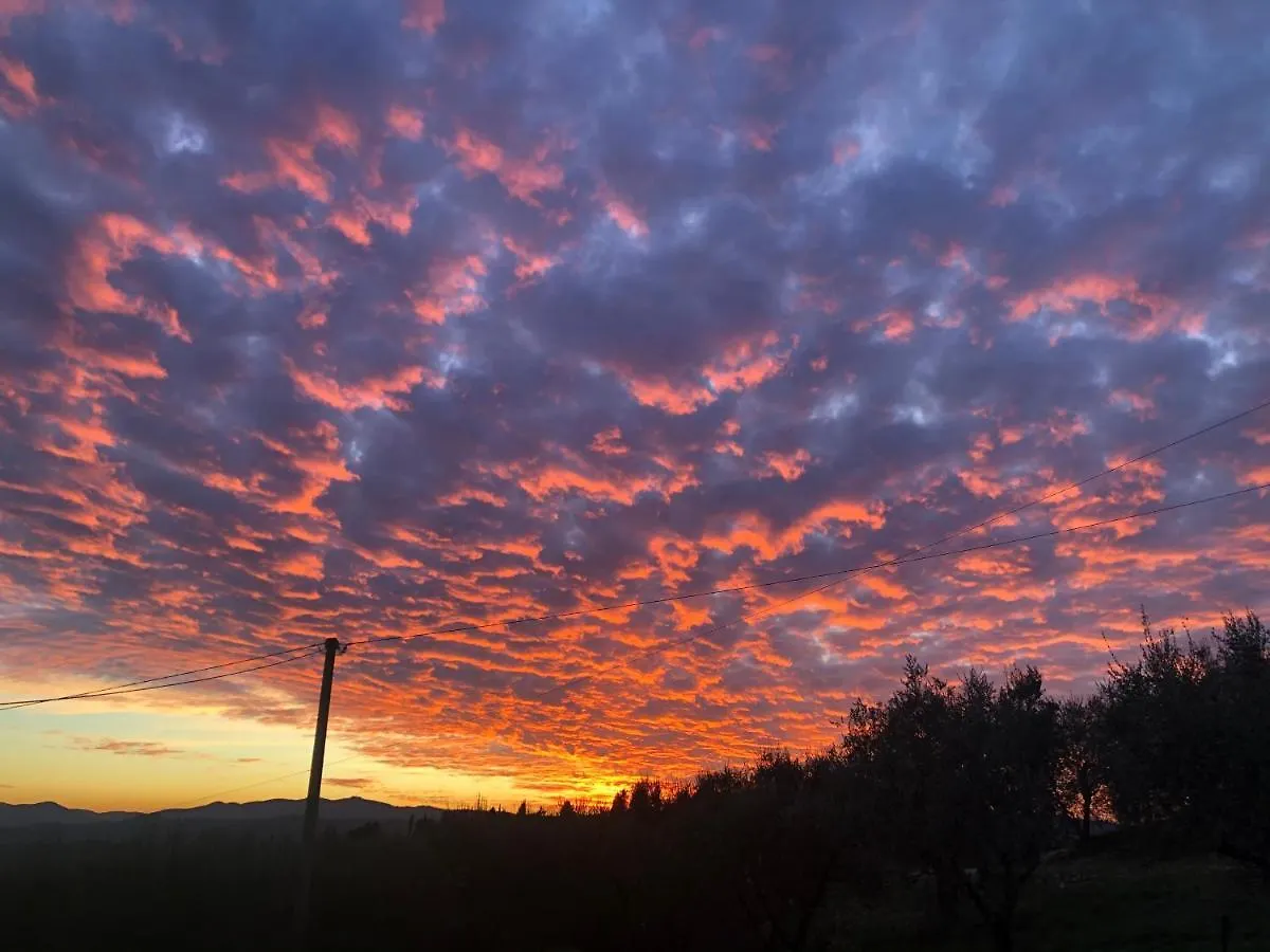 Azienda Agricola Il Poggiolino Villa Pelago 0*,