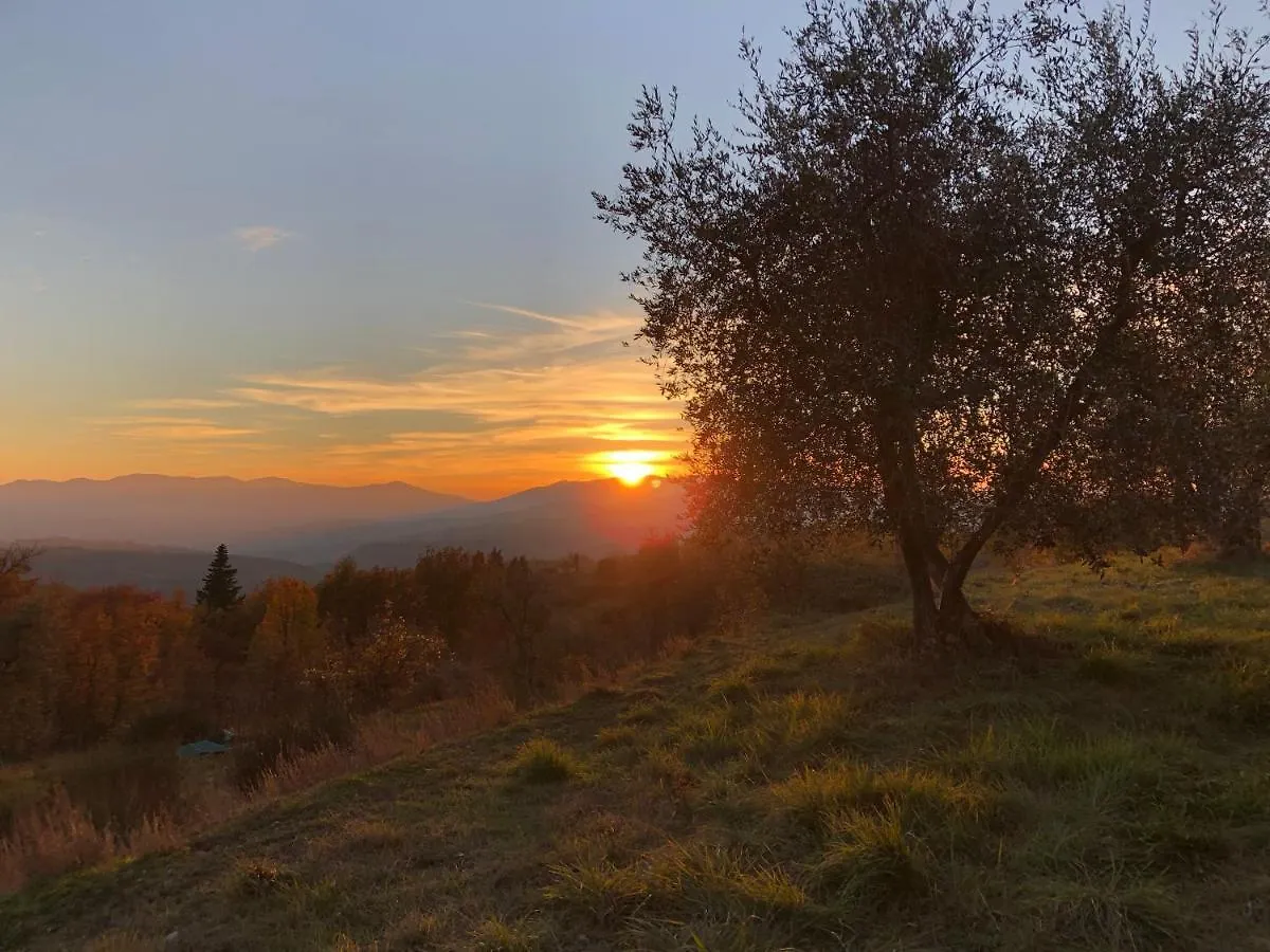 Azienda Agricola Il Poggiolino Villa Pelago Farm stay