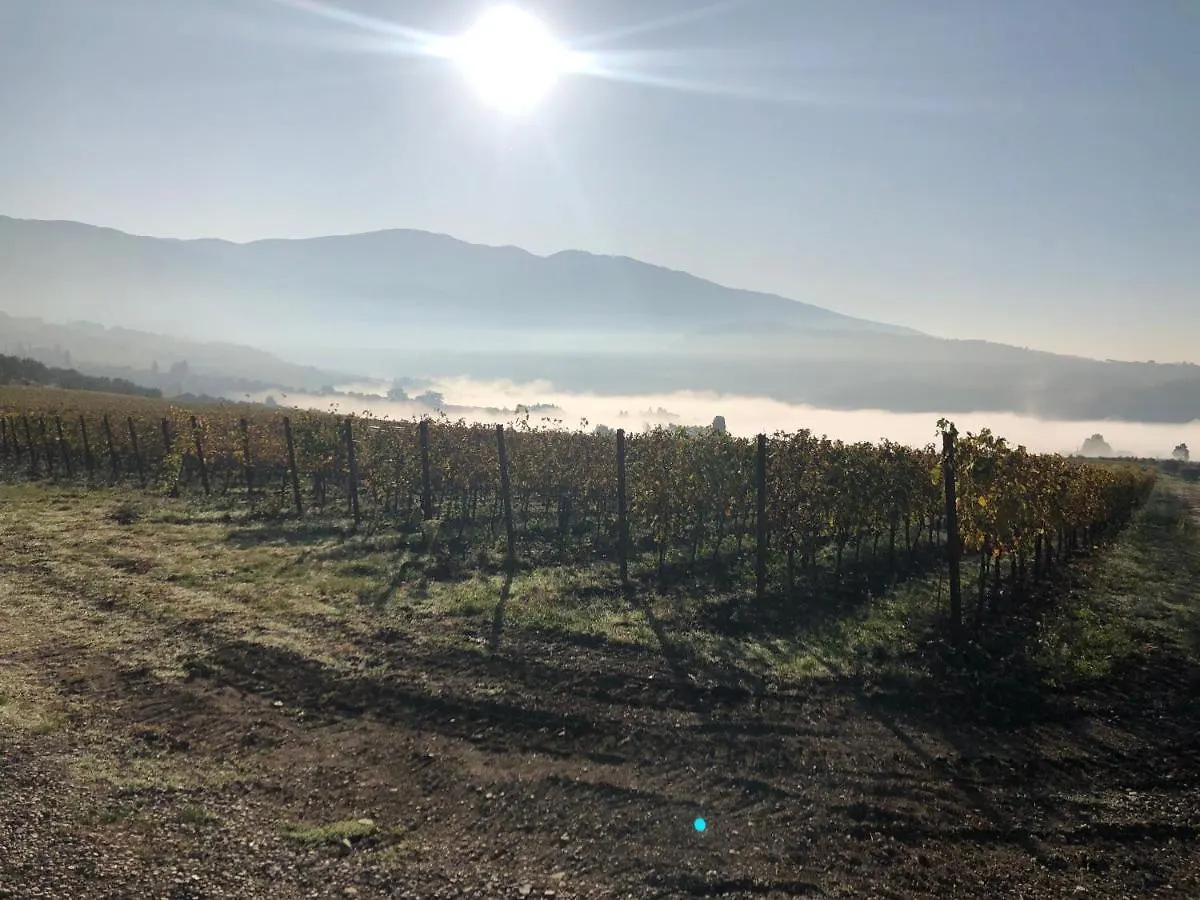 Farma Vila Azienda Agricola Il Poggiolino Pelago Itálie