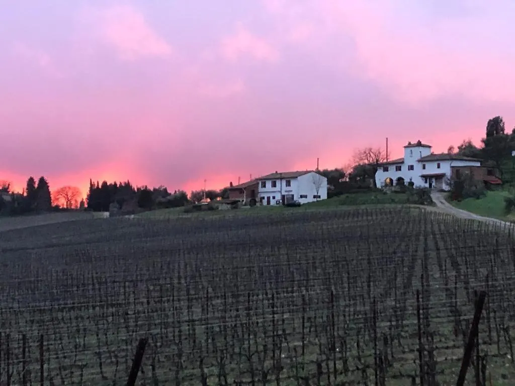 Farm stay Azienda Agricola Il Poggiolino Villa Pelago