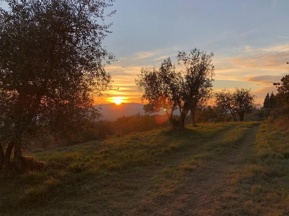 Farm stay Azienda Agricola Il Poggiolino Villa Pelago